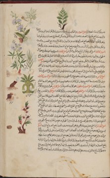 Arabic and Persian Medical Books and Manuscripts